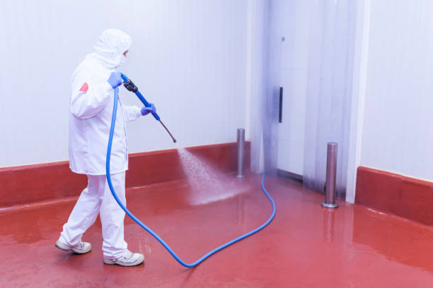 Boat and Dock Cleaning in Twin Lake, MI
